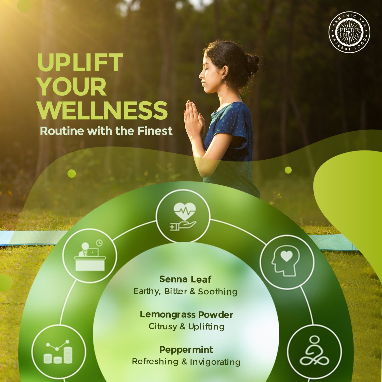 Digestive Health Trio 10.59 oz (300 gm) | Includes Mint Leaf Whole, Lemongrass Fine Cut & Senna Herbal Tea Leaf Whole | Perfect for Hot/Iced Tea, Mocktails | Promotes Inner Wellness | 3 PACK of 3.53 oz - Pride Of India