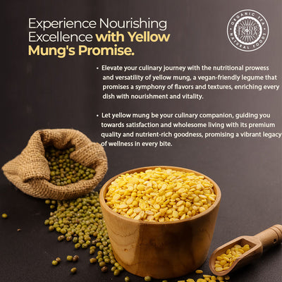 Indian Split Yellow Mung Lentils - Protein & Fiber Rich Moong Dal Jar - Pride Of India